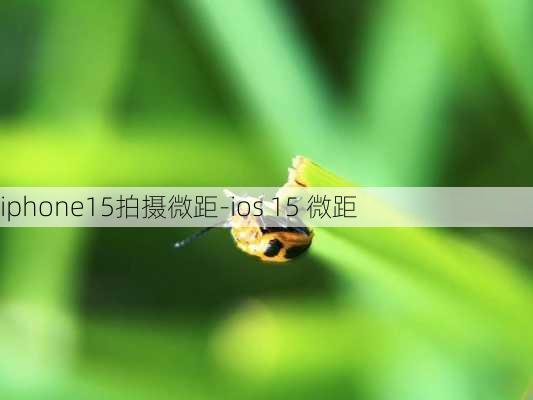 iphone15拍摄微距-ios 15 微距