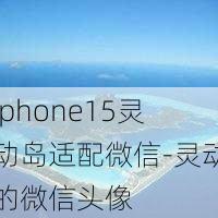 iphone15灵动岛适配微信-灵动的微信头像