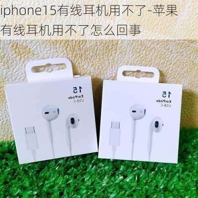 iphone15有线耳机用不了-苹果有线耳机用不了怎么回事