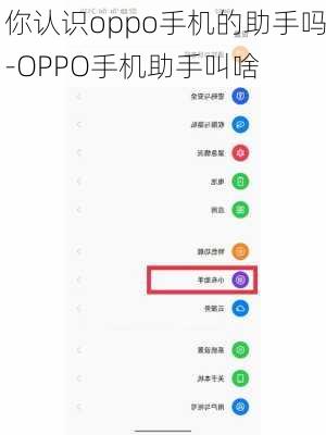 你认识oppo手机的助手吗-OPPO手机助手叫啥