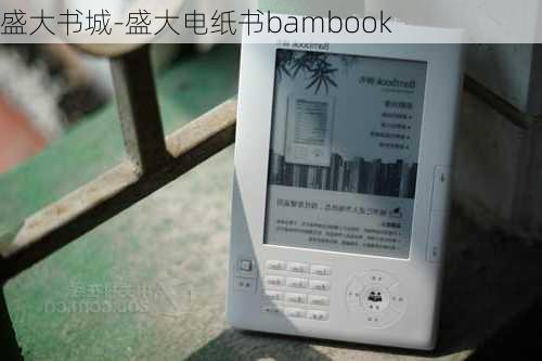 盛大书城-盛大电纸书bambook