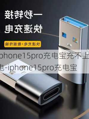 iphone15pro充电宝充不上电-iphone15pro充电宝