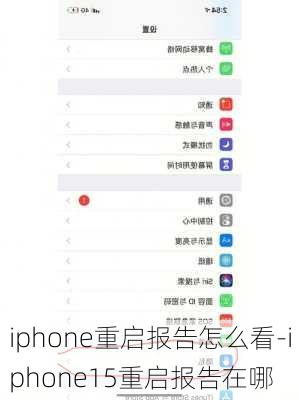 iphone重启报告怎么看-iphone15重启报告在哪