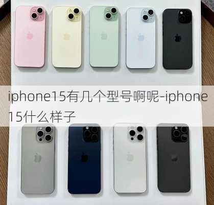 iphone15有几个型号啊呢-iphone15什么样子