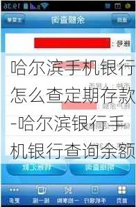 哈尔滨手机银行怎么查定期存款-哈尔滨银行手机银行查询余额