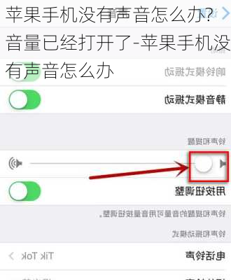 苹果手机没有声音怎么办? 音量已经打开了-苹果手机没有声音怎么办