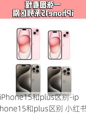 iPhone15和plus区别-iphone15和plus区别 小红书