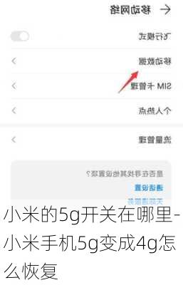 小米的5g开关在哪里-小米手机5g变成4g怎么恢复