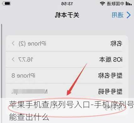 苹果手机查序列号入口-手机序列号能查出什么