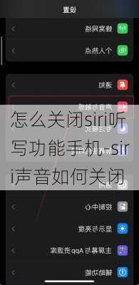 怎么关闭siri听写功能手机-siri声音如何关闭