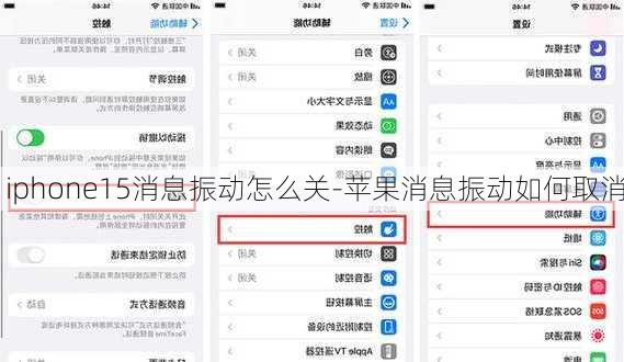 iphone15消息振动怎么关-苹果消息振动如何取消