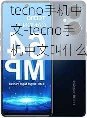 tecno手机中文-tecno手机中文叫什么