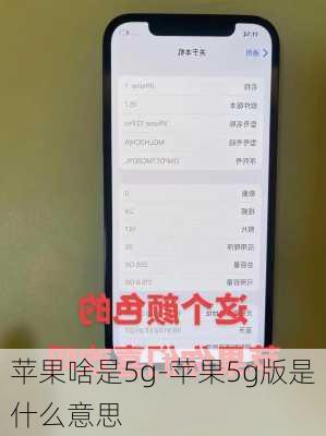 苹果啥是5g-苹果5g版是什么意思