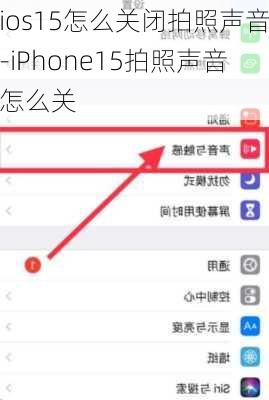 ios15怎么关闭拍照声音-iPhone15拍照声音怎么关