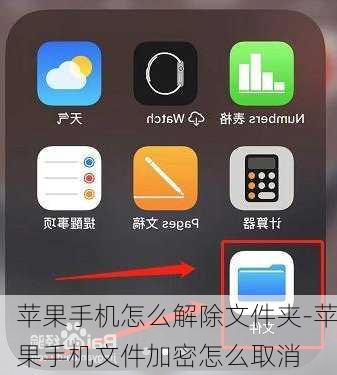 苹果手机怎么解除文件夹-苹果手机文件加密怎么取消