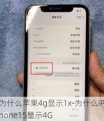 为什么苹果4g显示1x-为什么iPhone15显示4G