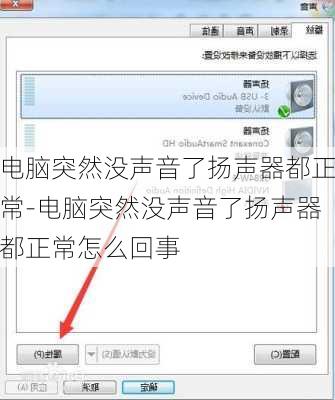 电脑突然没声音了扬声器都正常-电脑突然没声音了扬声器都正常怎么回事