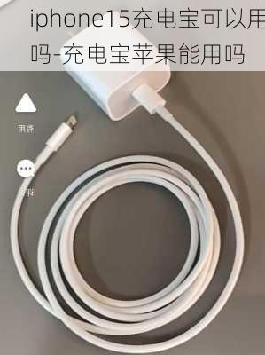 iphone15充电宝可以用吗-充电宝苹果能用吗