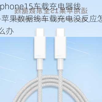 iphone15车载充电器线-苹果数据线车载充电没反应怎么办