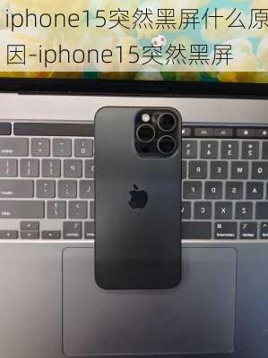 iphone15突然黑屏什么原因-iphone15突然黑屏