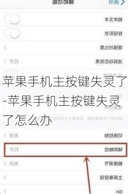苹果手机主按键失灵了-苹果手机主按键失灵了怎么办