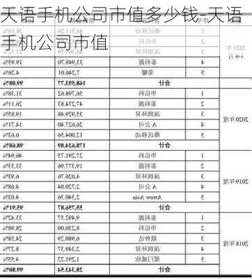 天语手机公司市值多少钱-天语手机公司市值