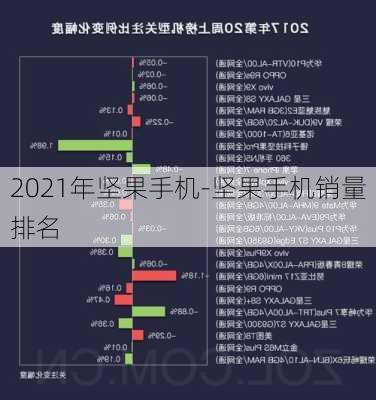 2021年坚果手机-坚果手机销量排名