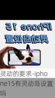 灵动的要求-iphone15有灵动岛设置吗