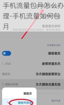 手机流量包月怎么办理-手机流量如何包月