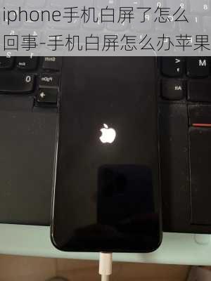 iphone手机白屏了怎么回事-手机白屏怎么办苹果