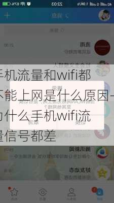 手机流量和wifi都不能上网是什么原因-为什么手机wifi流量信号都差