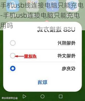 手机usb线连接电脑只能充电-手机usb连接电脑只能充电用吗