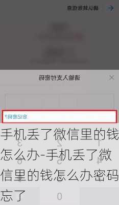 手机丢了微信里的钱怎么办-手机丢了微信里的钱怎么办密码忘了