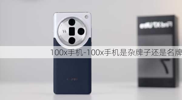 100x手机-100x手机是杂牌子还是名牌