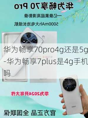 华为畅享70pro4g还是5g-华为畅享7plus是4g手机吗