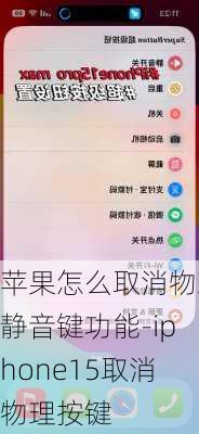 苹果怎么取消物理静音键功能-iphone15取消物理按键