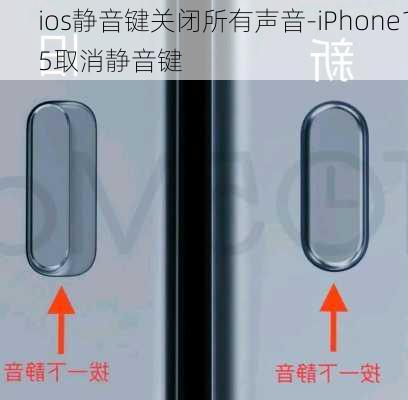 ios静音键关闭所有声音-iPhone15取消静音键