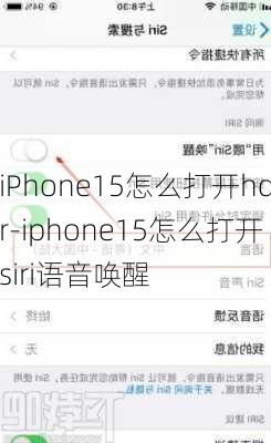 iPhone15怎么打开hdr-iphone15怎么打开siri语音唤醒