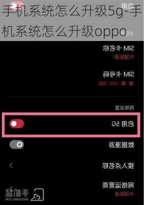 手机系统怎么升级5g-手机系统怎么升级oppo