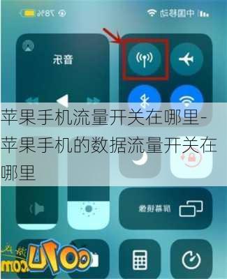苹果手机流量开关在哪里-苹果手机的数据流量开关在哪里