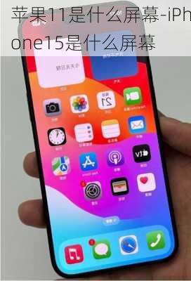 苹果11是什么屏幕-iPhone15是什么屏幕