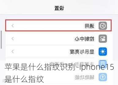 苹果是什么指纹识别-iphone15是什么指纹