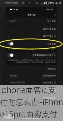 iphone面容id支付时怎么办-iPhone15pro面容支付