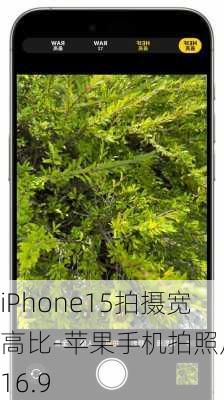 iPhone15拍摄宽高比-苹果手机拍照尺寸16.9