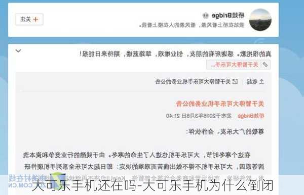 大可乐手机还在吗-大可乐手机为什么倒闭