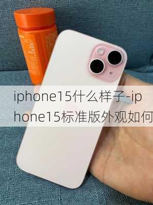 iphone15什么样子-iphone15标准版外观如何