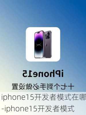 iphone15开发者模式在哪-iphone15开发者模式