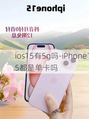 ios15有5g吗-iPhone15都是单卡吗