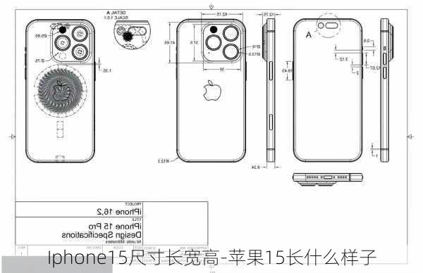 Iphone15尺寸长宽高-苹果15长什么样子