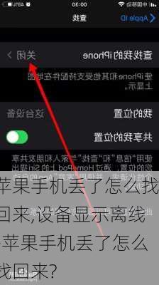 苹果手机丢了怎么找回来,设备显示离线-苹果手机丢了怎么找回来?